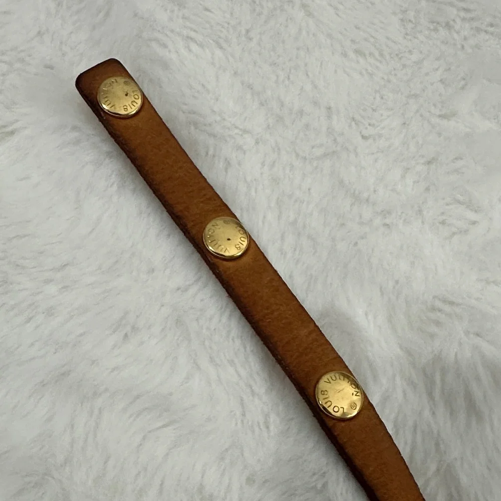 Louis Vuitton Florentine Belt Bag (Pochette Florentine) - Picture 14 of 16